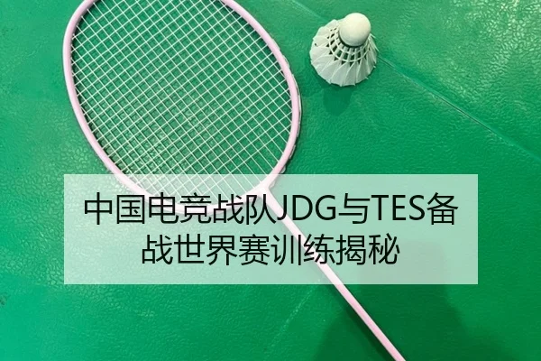 中国电竞战队JDG与TES备战世界赛训练揭秘